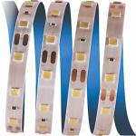 10 Çip Şerit Led İç Mekan